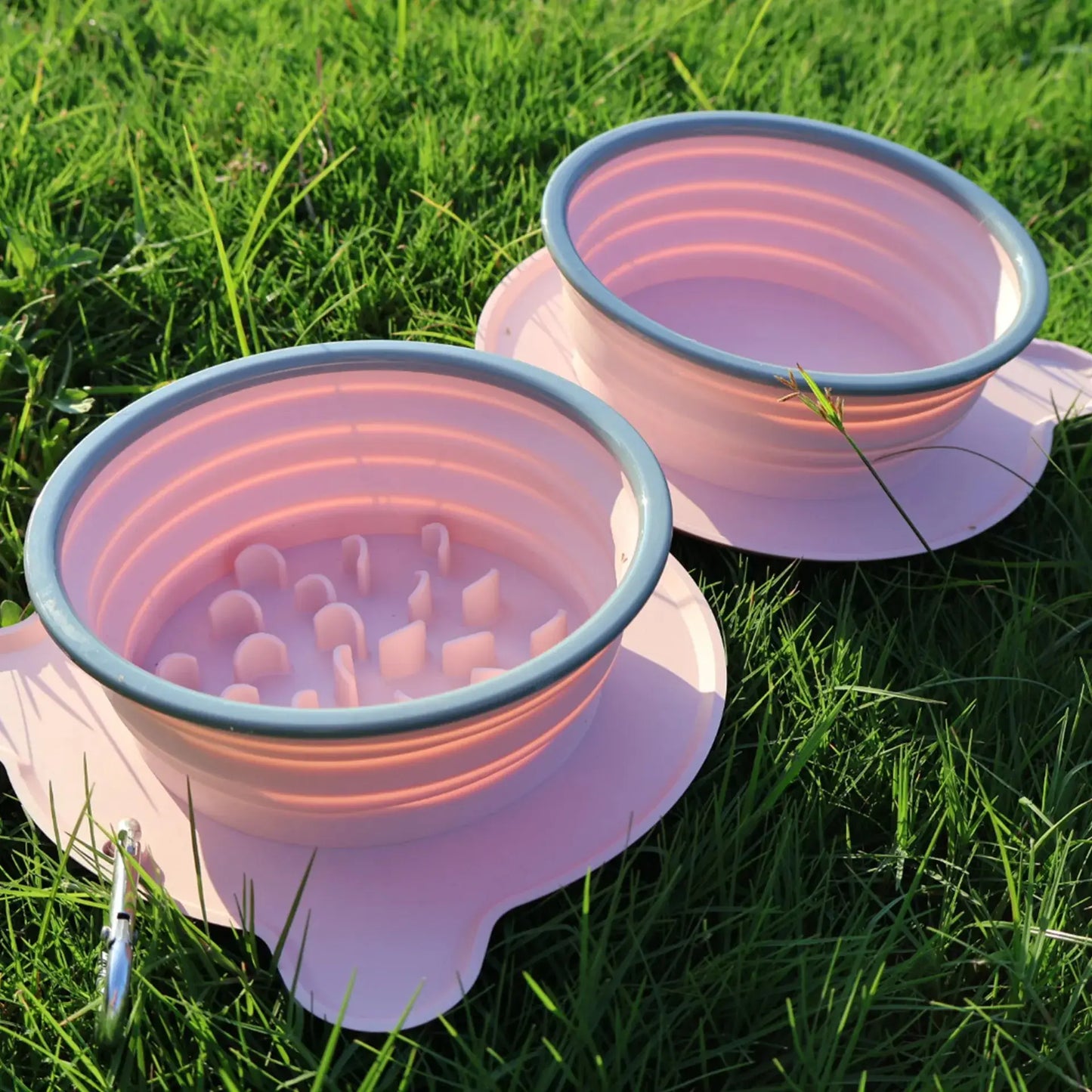 Outdoor Foldable Pet Water and Food Bowl Outs Paw