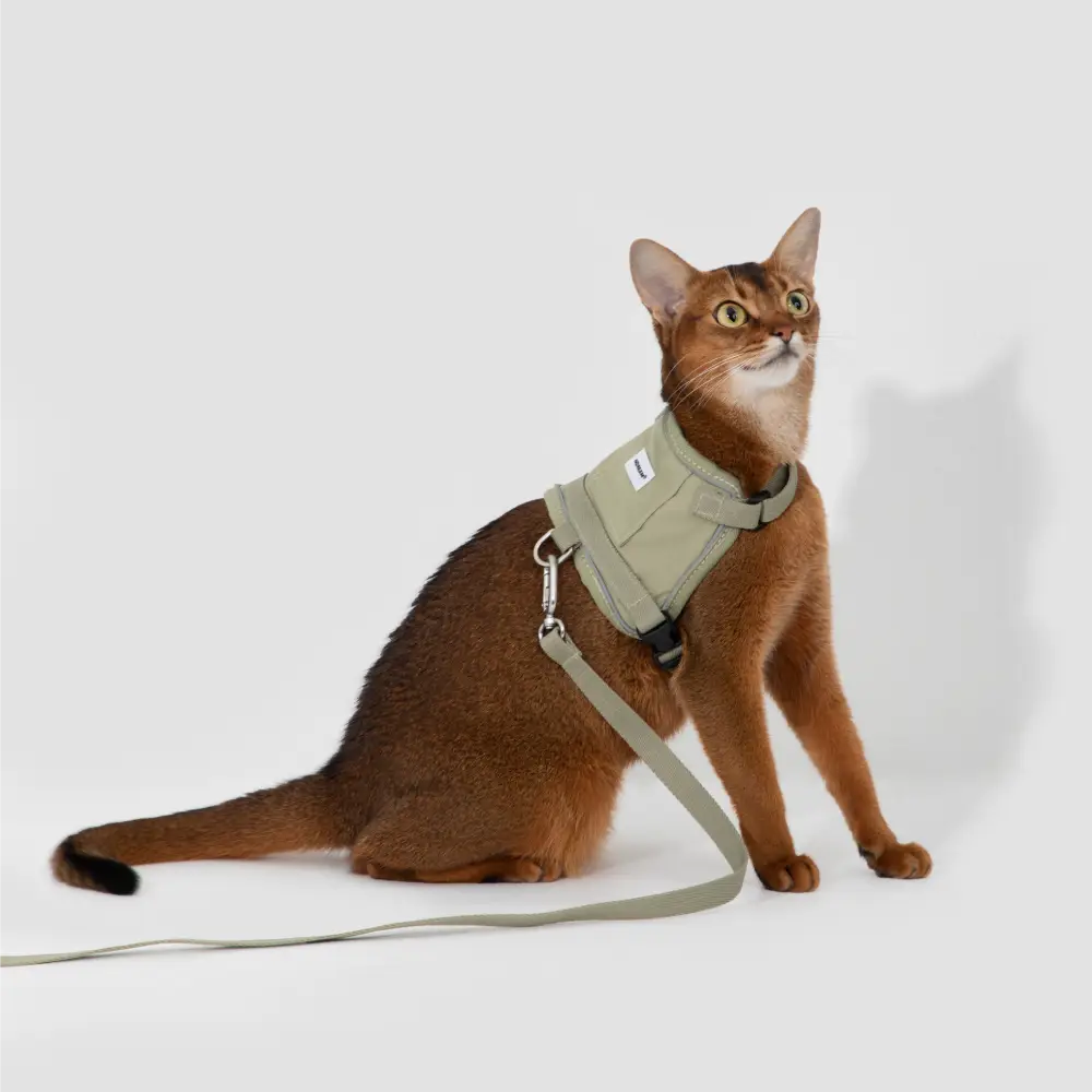 HiDream Valley Series Cat Harness And Leash Outs Paw