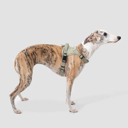 HiDream Valley Series Dog Harness Outs Paw