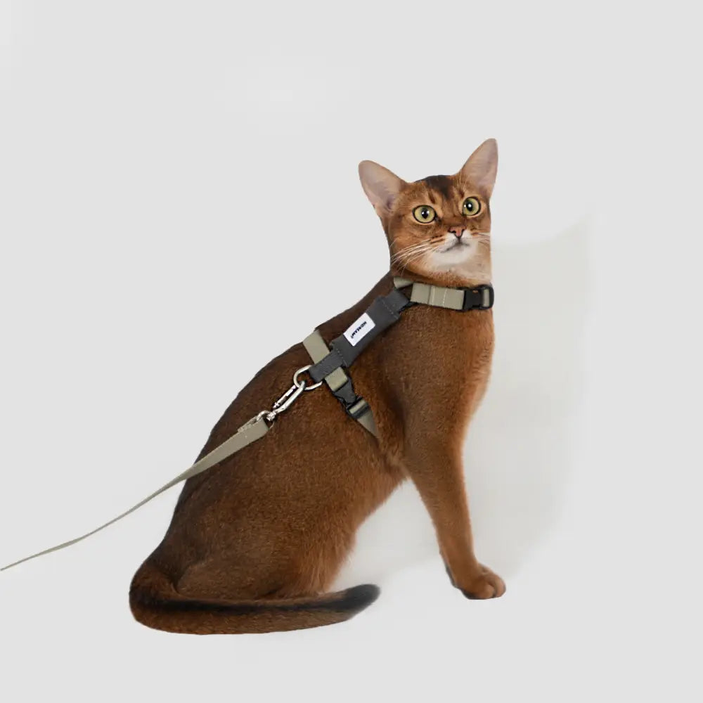 HiDream Valley Series Cat Leash and Harness Outs Paw