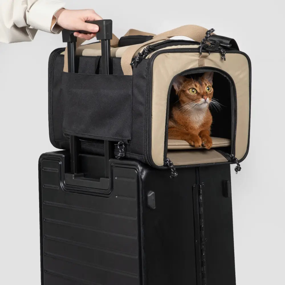 HIDREAM Airline Approved Pet Carrier Outs Paw