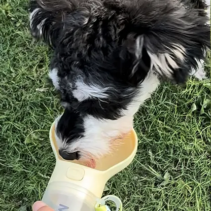 Daily Walking Dog Portable Water Bottle