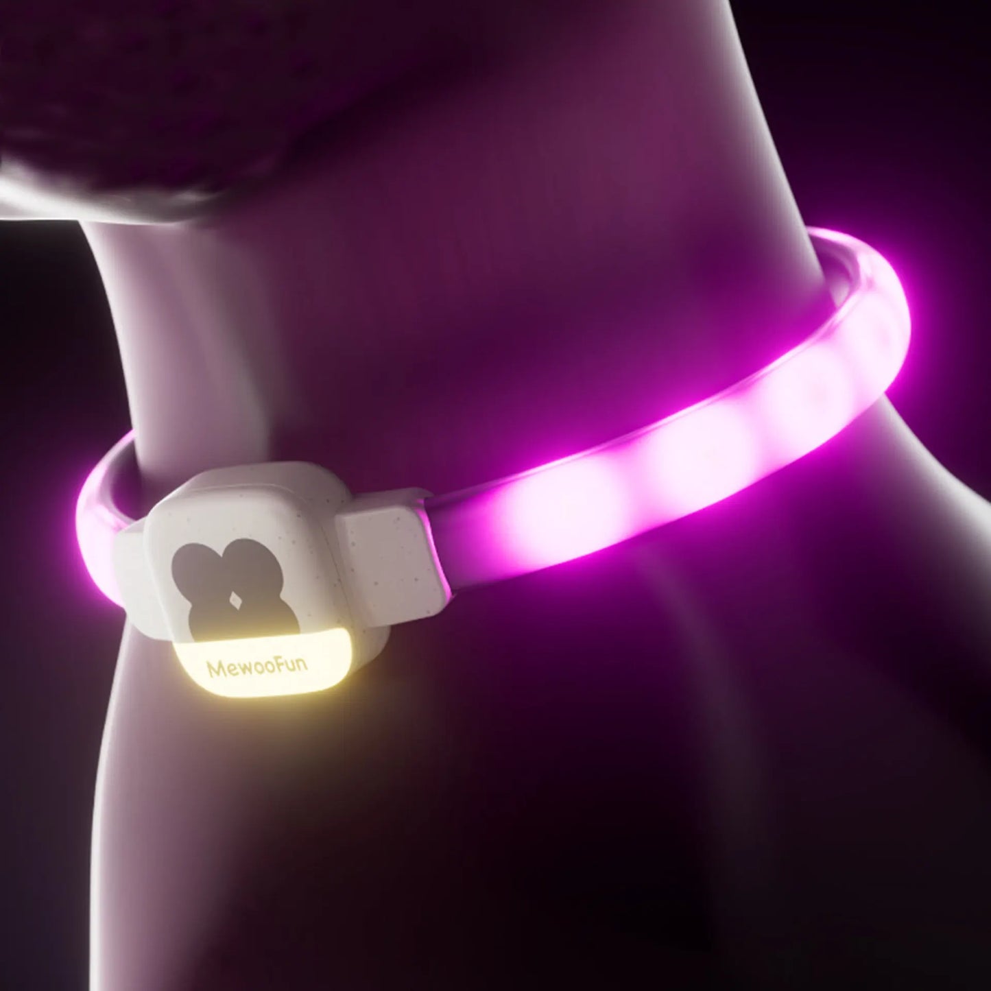 LED Dog Collar for Night Camps