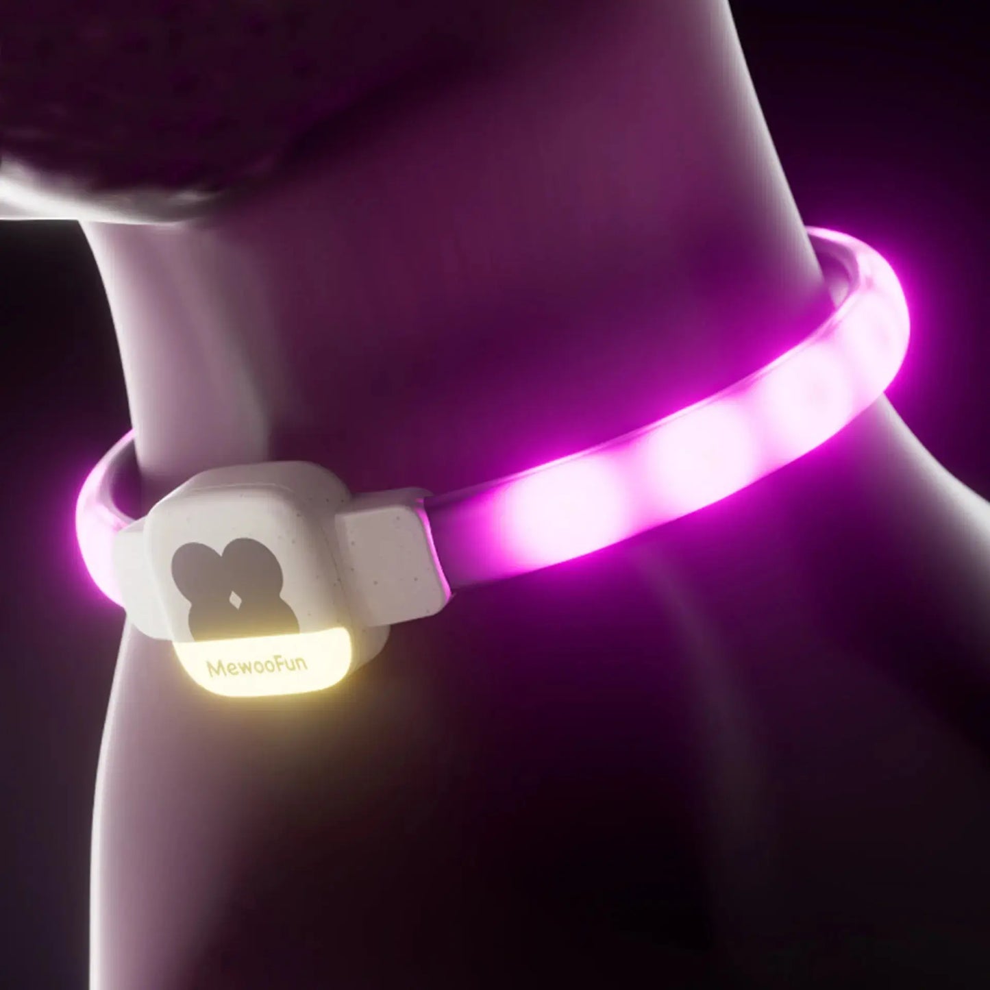 MewooFun LED Dog Collar for Night Camps Outs Paw